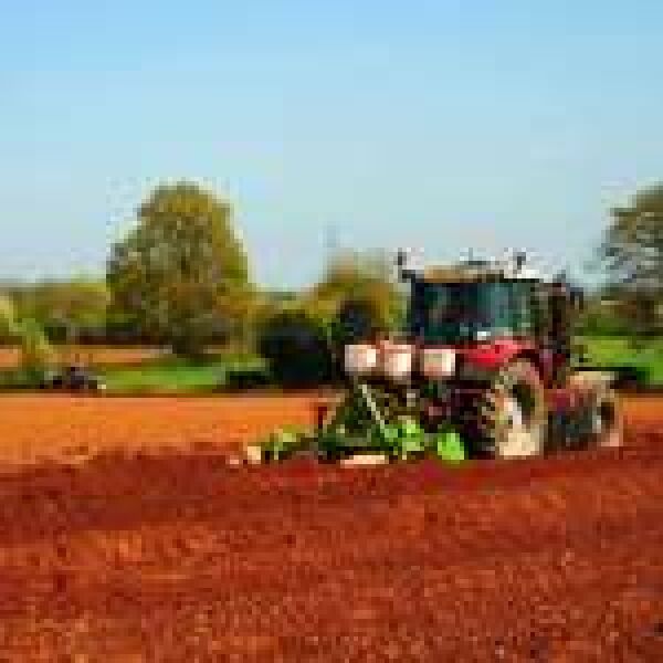 M2M a mezőgazdaság szolgálatában