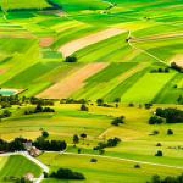 A mezőgazdaság jövőjét jelentheti az IoT4Ag