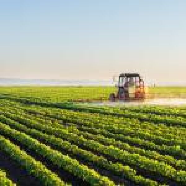 Küszöbön áll az újabb zöld forradalom