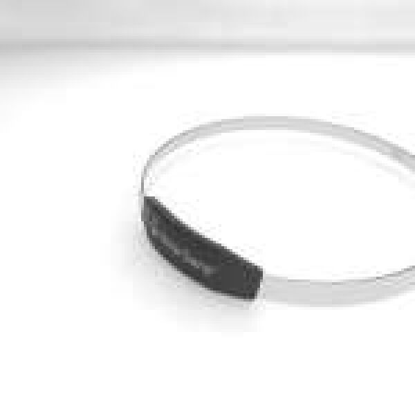 Új nyaklánc gondoskodik a diéta betartásáról