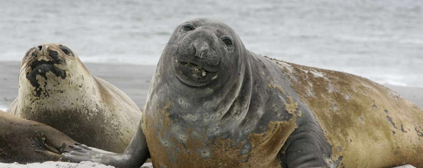 &Iacute;gy der&uuml;lnek ki az &oacute;ce&aacute;nok legm&eacute;ly&eacute;nek titkai