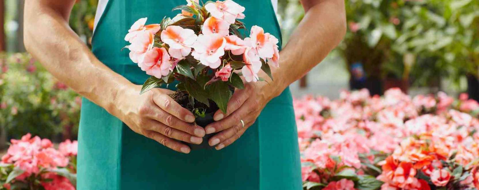 Okoscser&eacute;p ford&iacute;tja le a vir&aacute;gnyelvet