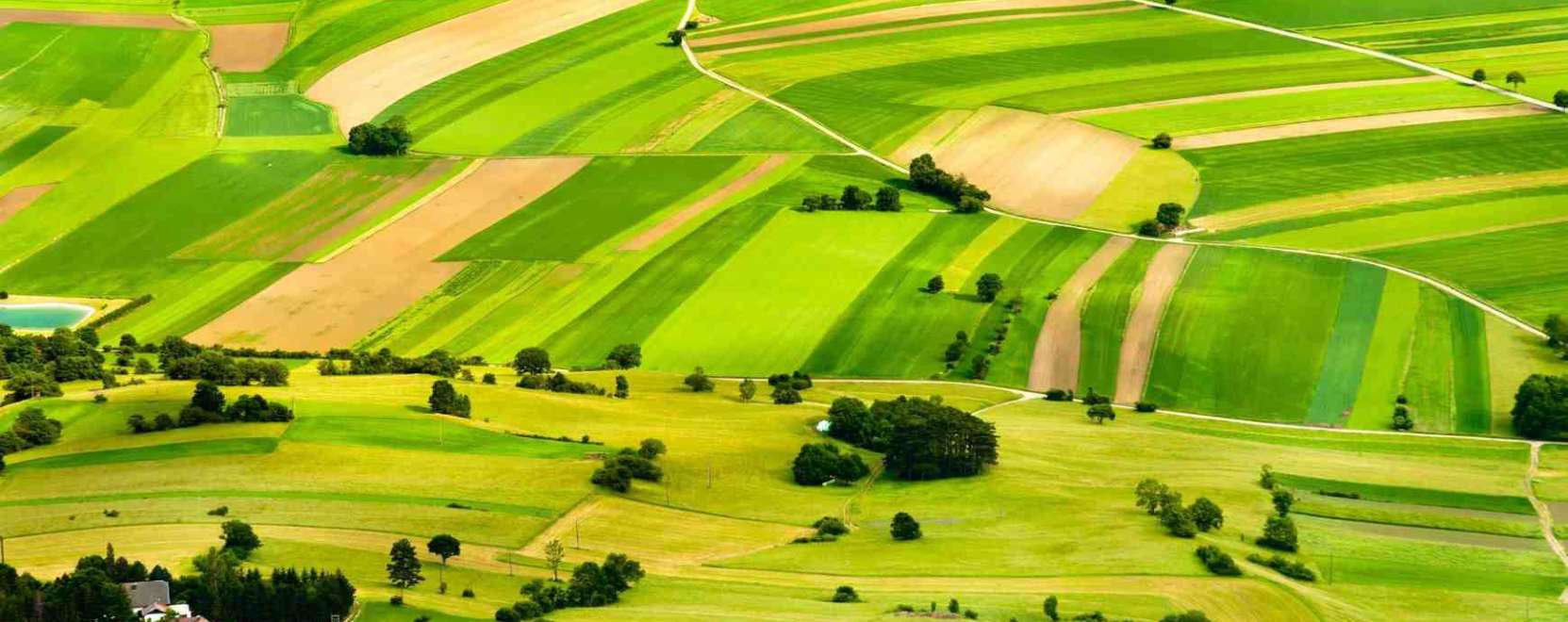 Prec&iacute;zi&oacute;s mezőgazdas&aacute;g &ndash; a levegőből &eacute;s az űrből is