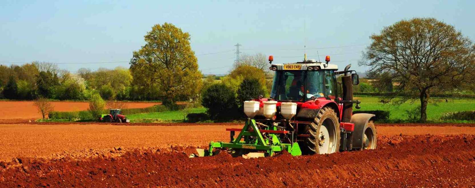 Okosmegold&aacute;sok az agr&aacute;riumban  