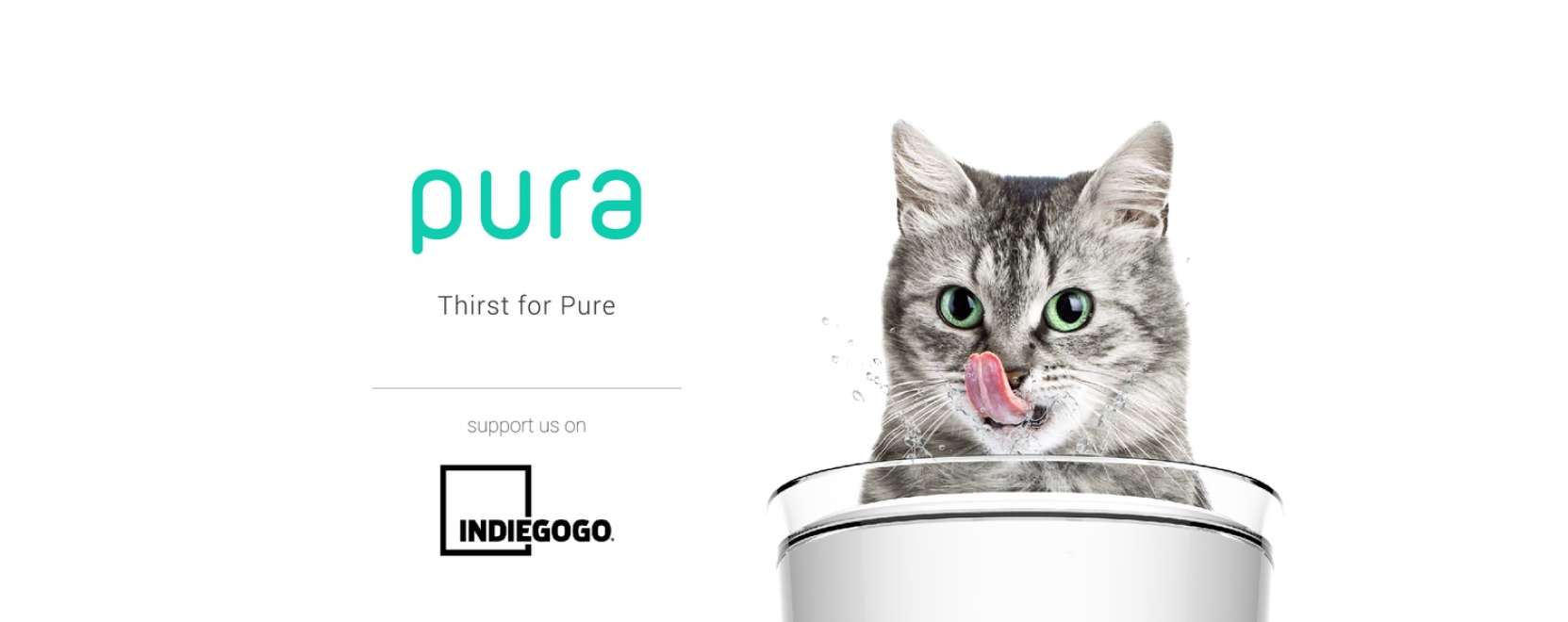 M&eacute;g egy dolog, amire a macskatulajdonosok k&ouml;lthetnek