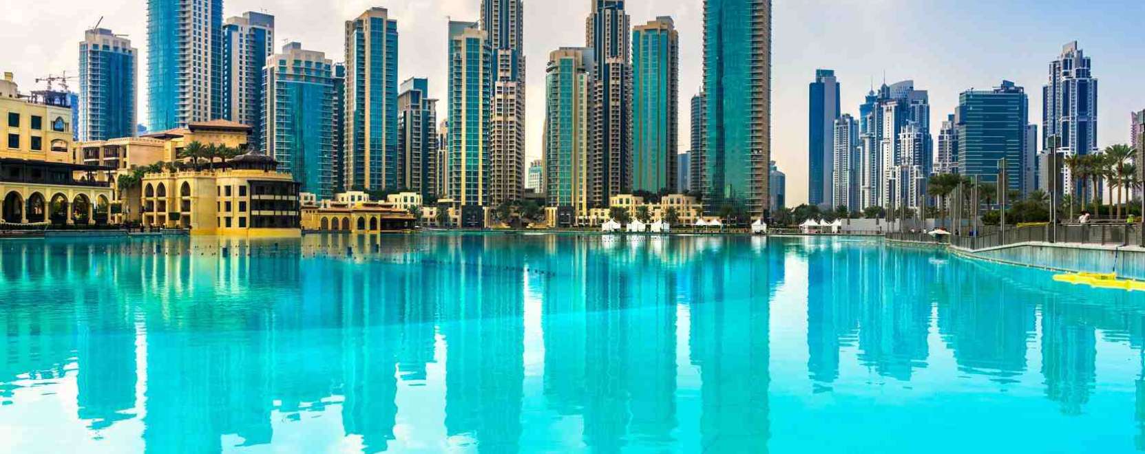 Gigantikus p&aacute;lmaf&aacute;k Dubajban