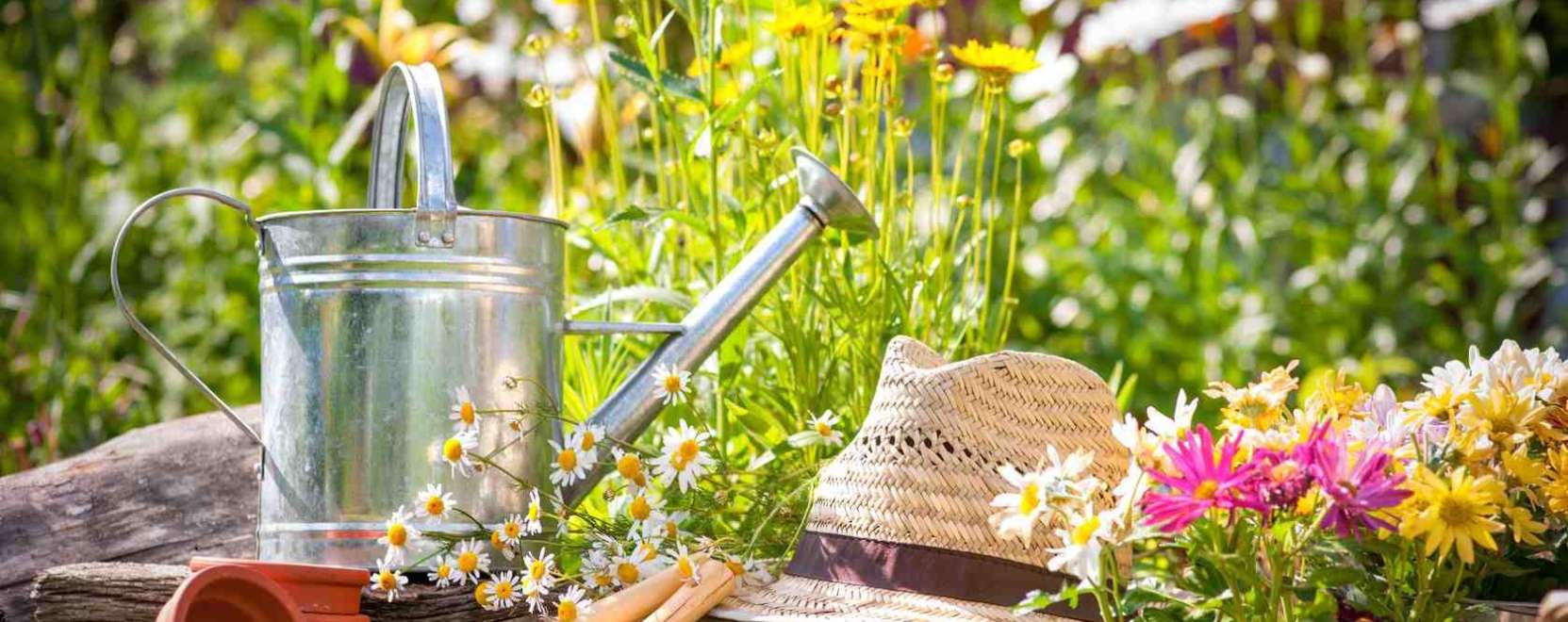 A b&ouml;lcs kert&eacute;sz seg&iacute;tője