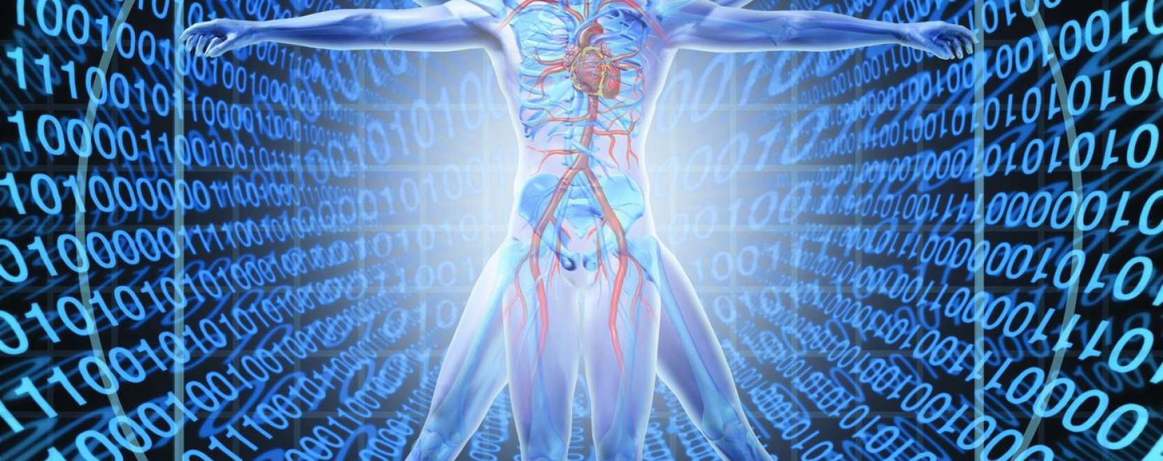 Lassan m&aacute;r a test&uuml;nk is csatlakozhat az internetre