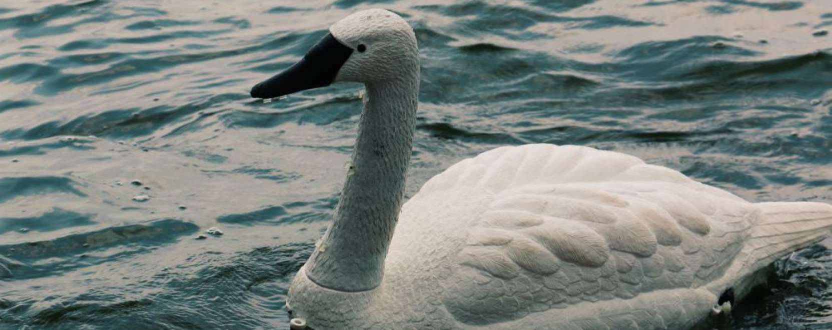 Robothatty&uacute;k k&eacute;mlelik a vizeket