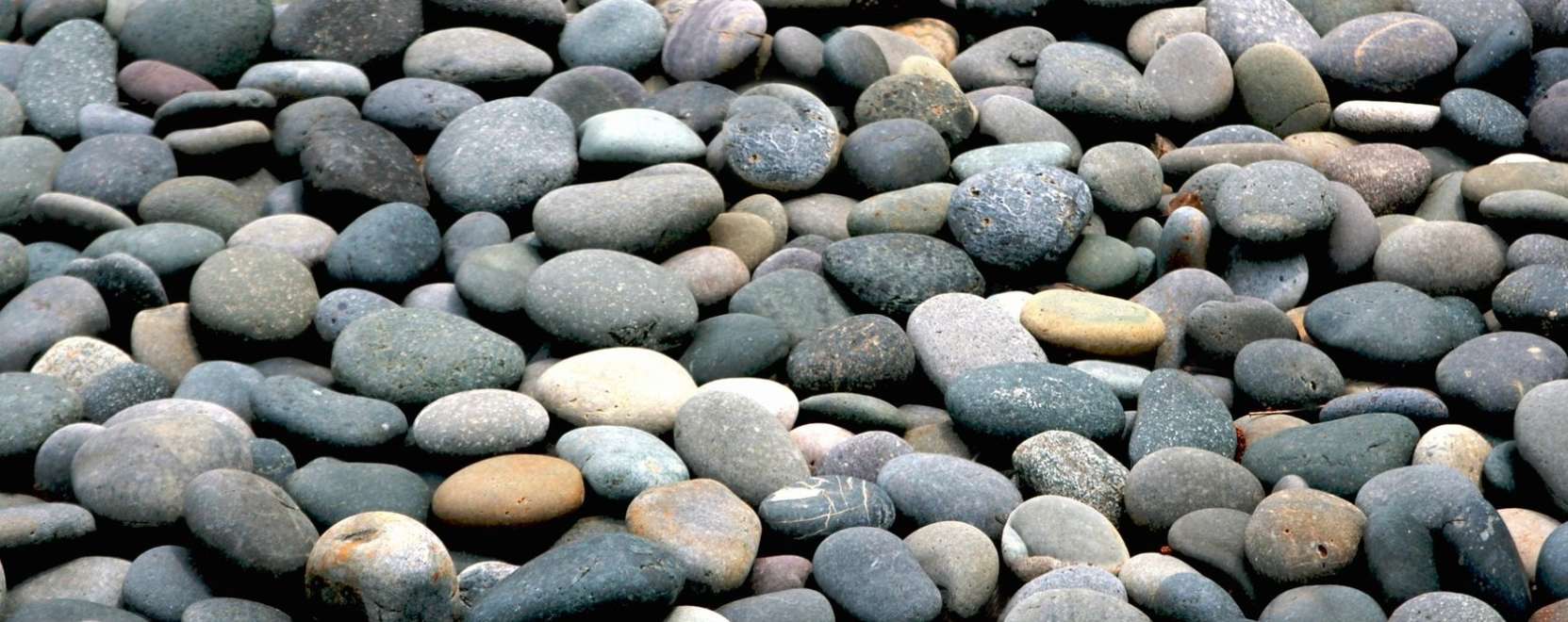 M&eacute;g egy kavics is lehet okos