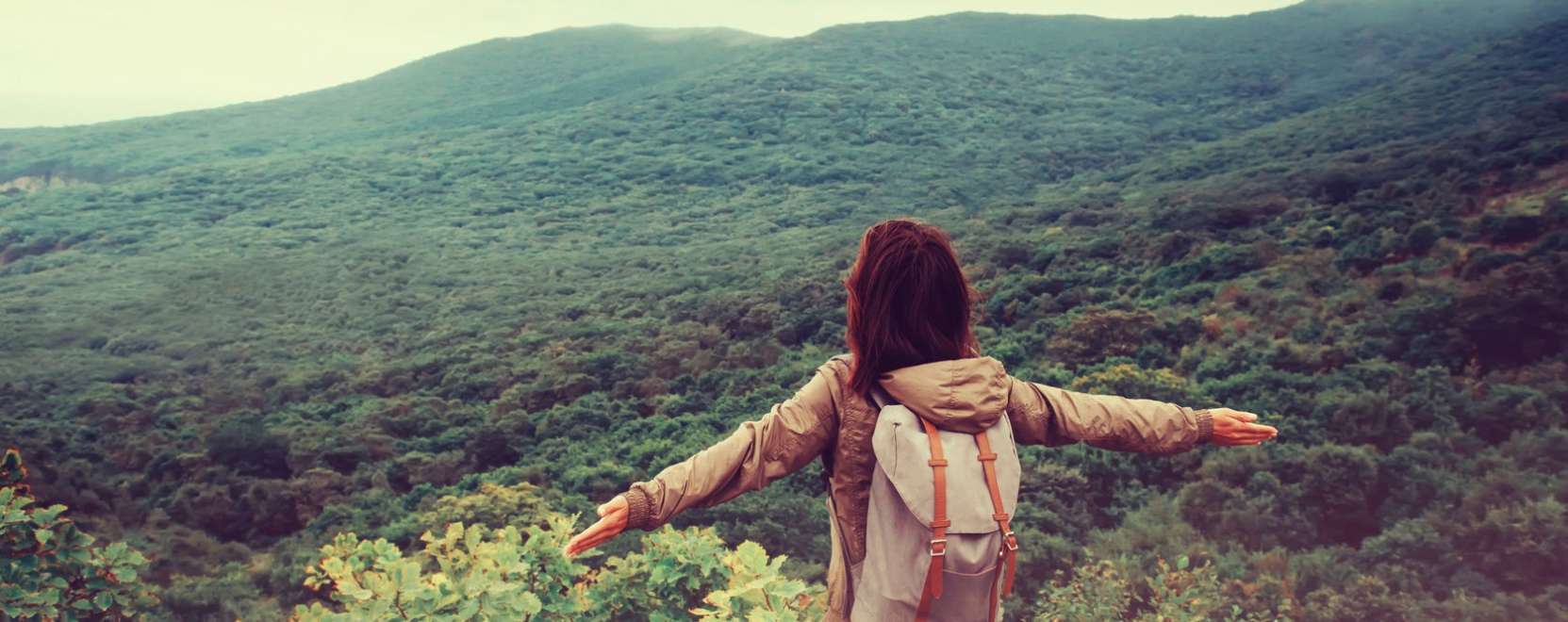 K&uuml;ldj&ouml;n &uuml;zenetet az erdő m&eacute;ly&eacute;ről!