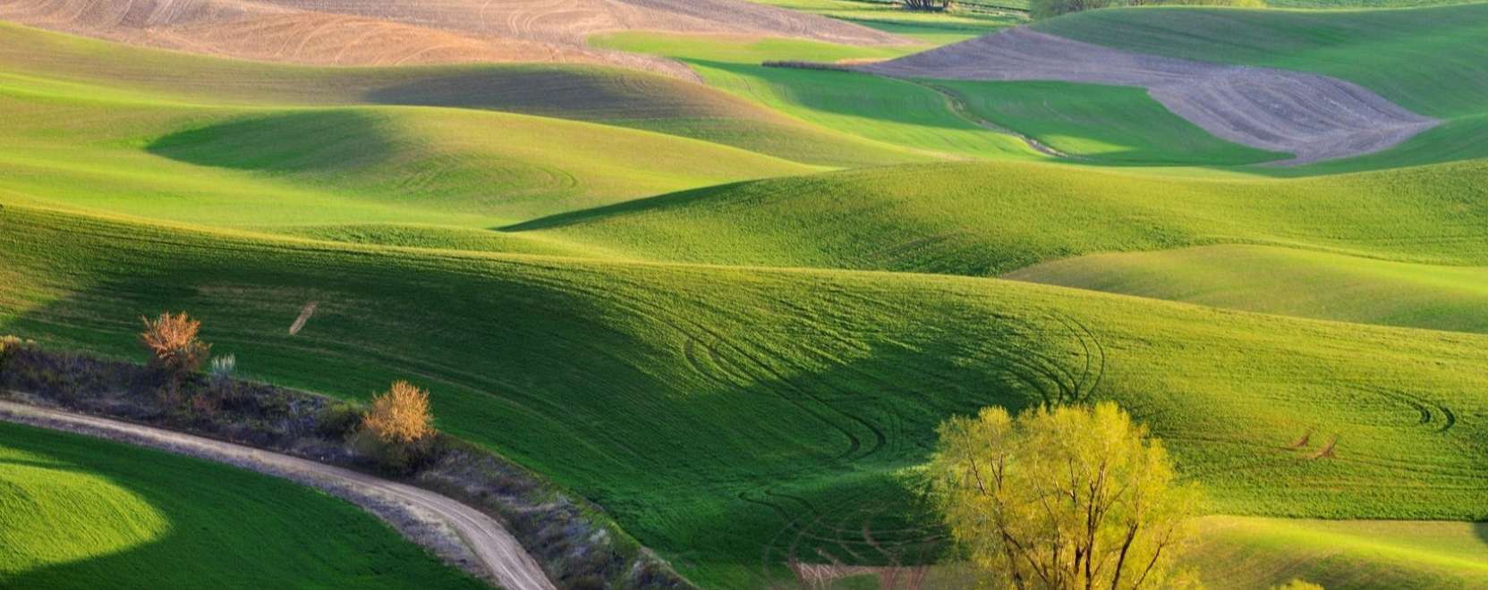 VR: &iacute;gy lehet egy csap&aacute;sra pil&oacute;ta