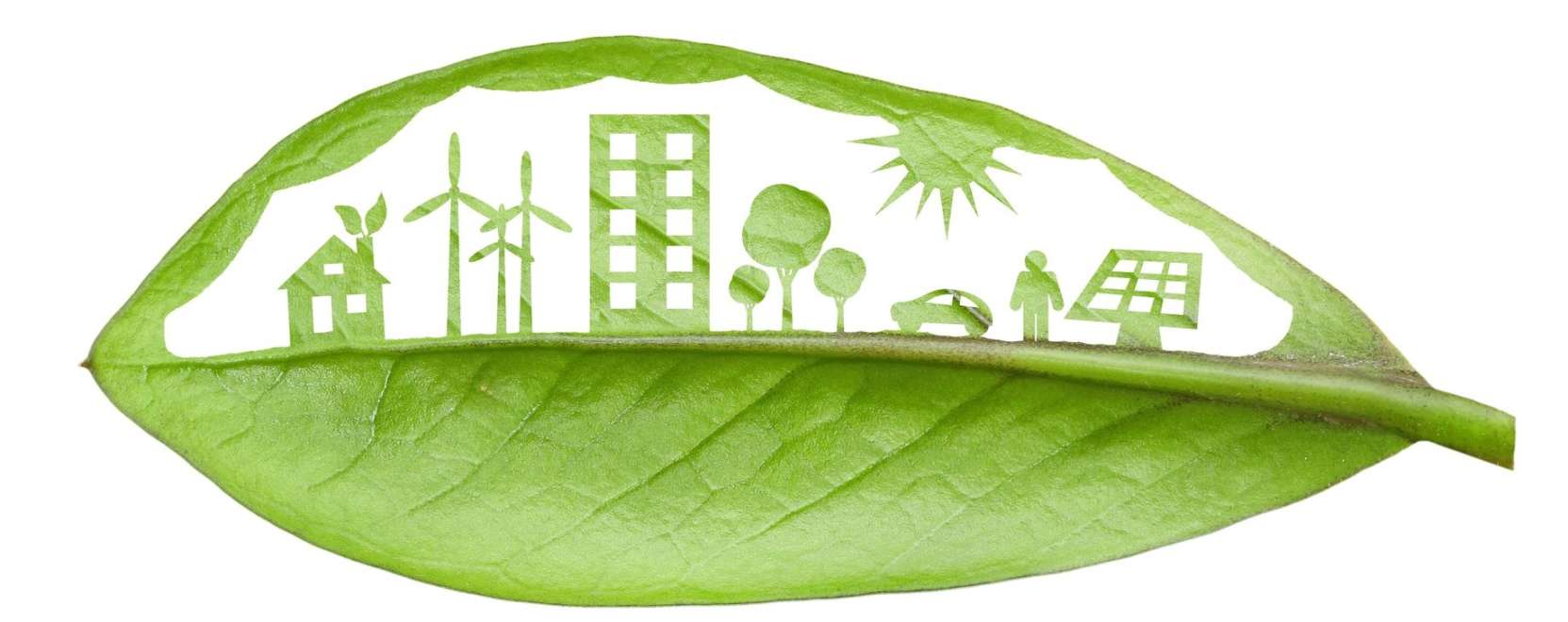 IoT a fenntarthat&oacute;s&aacute;g szolg&aacute;lat&aacute;ban