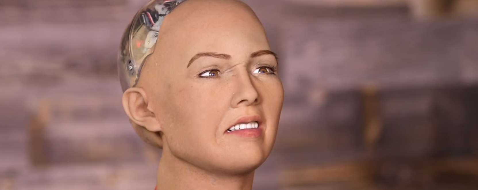 Ez a robot elpuszt&iacute;tan&aacute; az embereket