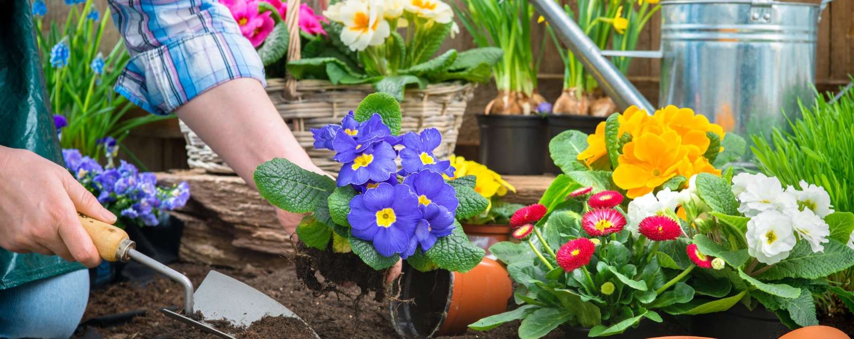 IoT a vir&aacute;gok k&ouml;z&ouml;tt