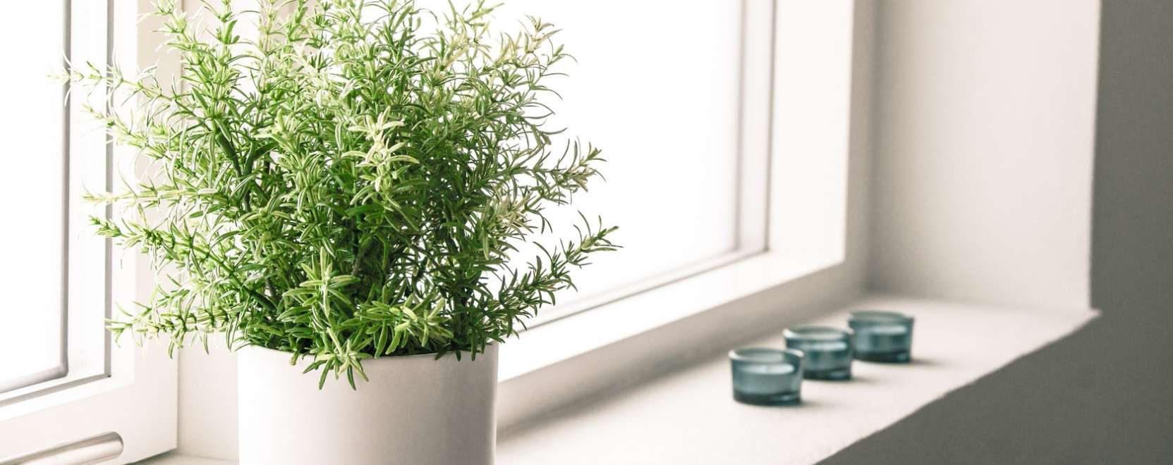 Z&ouml;ld energia: t&ouml;ltse fel szoban&ouml;v&eacute;ny&eacute;vel az okostelefonj&aacute;t