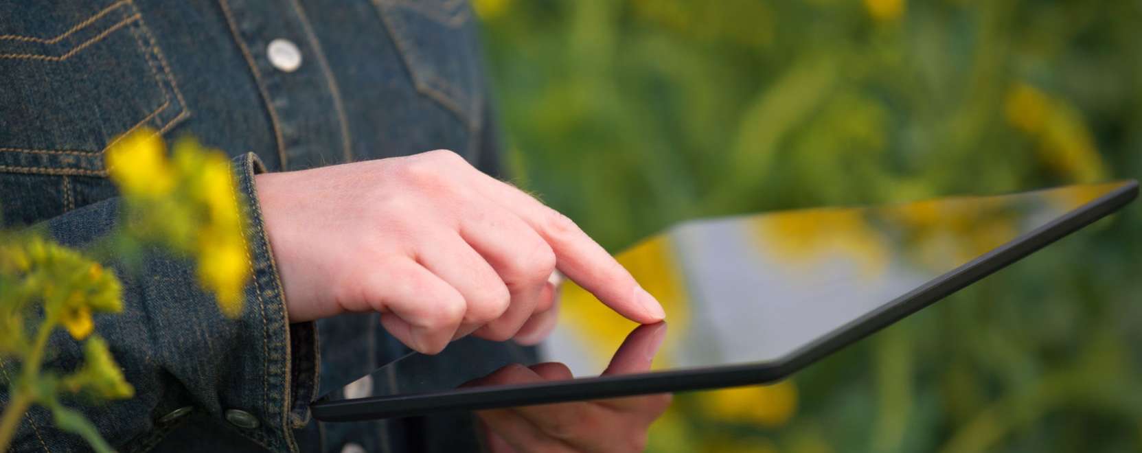 A prec&iacute;zi&oacute;s gazd&aacute;lkod&aacute;s is seg&iacute;thet az uni&oacute;s p&aacute;ly&aacute;zatokn&aacute;l