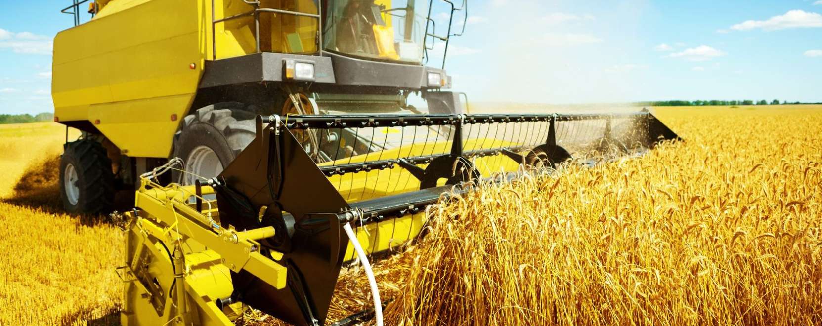 Prec&iacute;zi&oacute;s gazd&aacute;lkod&aacute;s: nagy az ig&eacute;ny a tov&aacute;bbk&eacute;pz&eacute;sekre