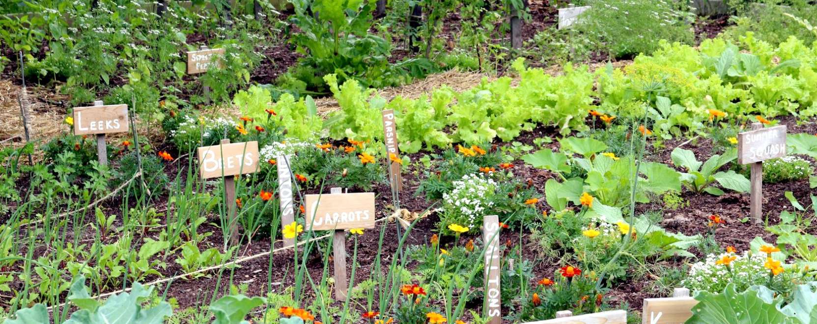 B&iacute;zza kiskertj&eacute;t a robotokra!