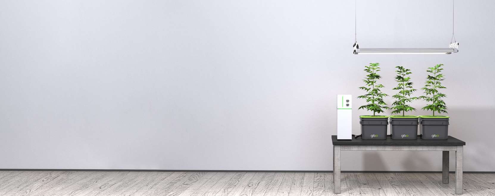 Űrb&eacute;li n&ouml;v&eacute;nytermeszt&eacute;s a nappaliban