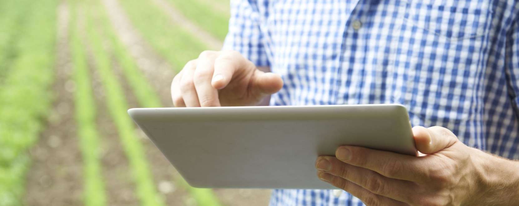 &Oacute;ri&aacute;si a n&ouml;veked&eacute;si potenci&aacute;l az agr&aacute;riumban