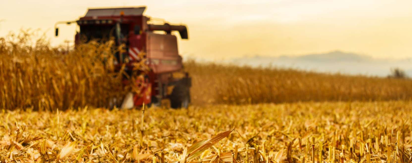 Digit&aacute;lis &aacute;t&aacute;ll&aacute;s a mezőgazdas&aacute;gban