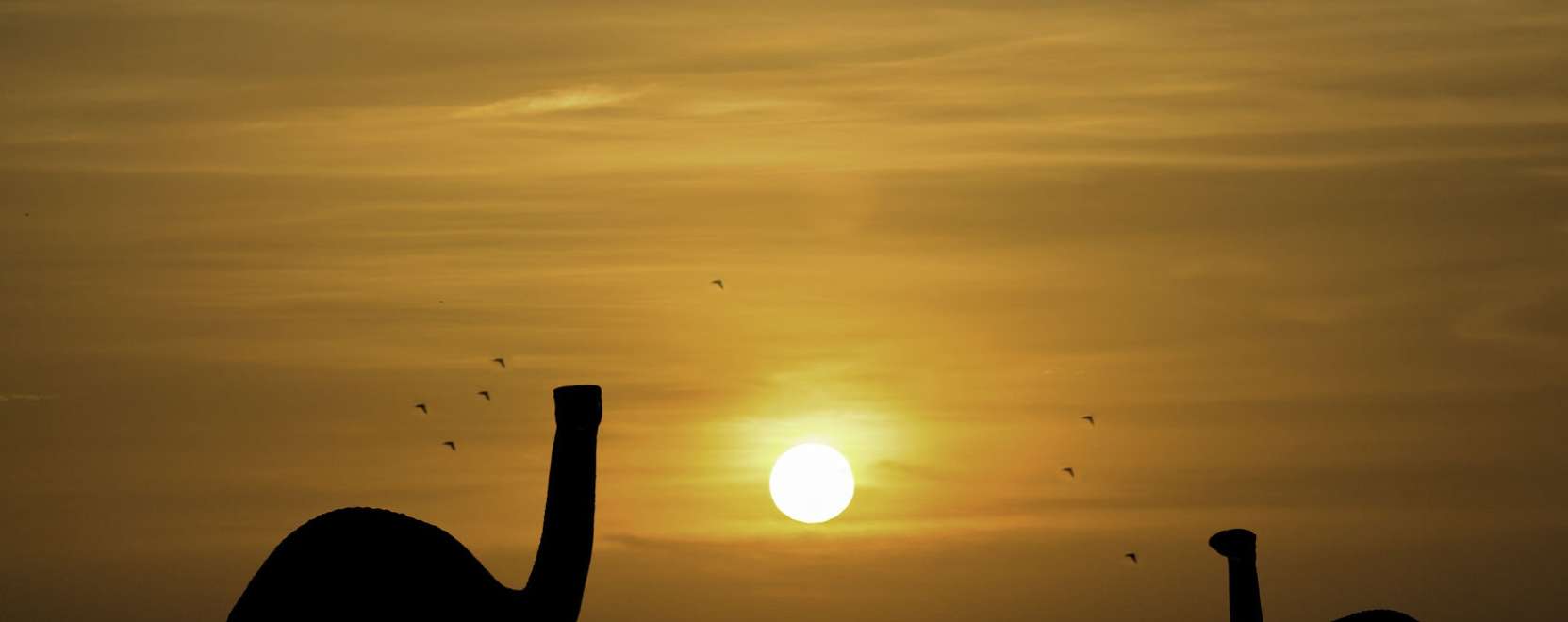 Dinoszauruszok az okosv&aacute;rosban