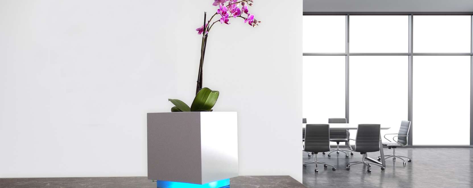 &Ouml;nt&ouml;zze interneten kereszt&uuml;l a n&ouml;v&eacute;nyeit