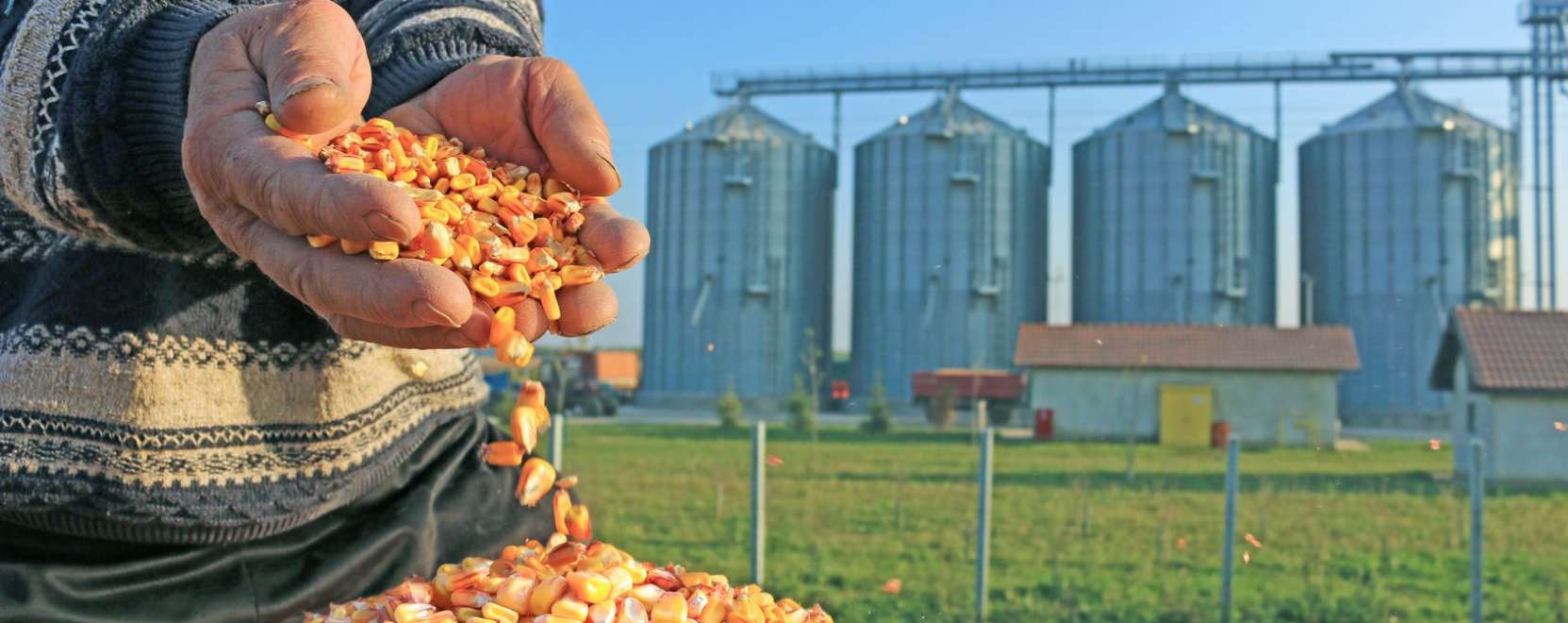 Gabonat&aacute;rol&aacute;s okosan