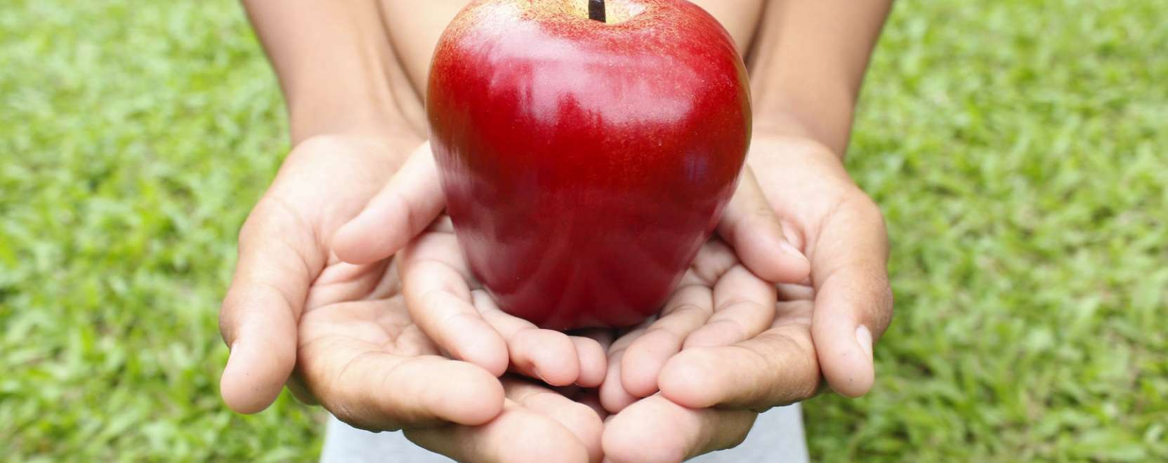 &Eacute;lelmiszerbiztons&aacute;g: &iacute;gy seg&iacute;thet a nyomk&ouml;vet&eacute;s