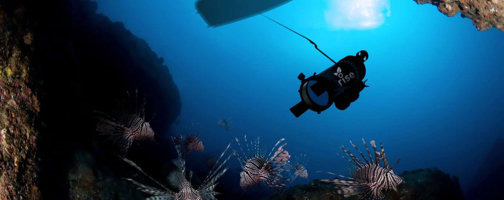 Robot védheti az Atlanti-óceán halait