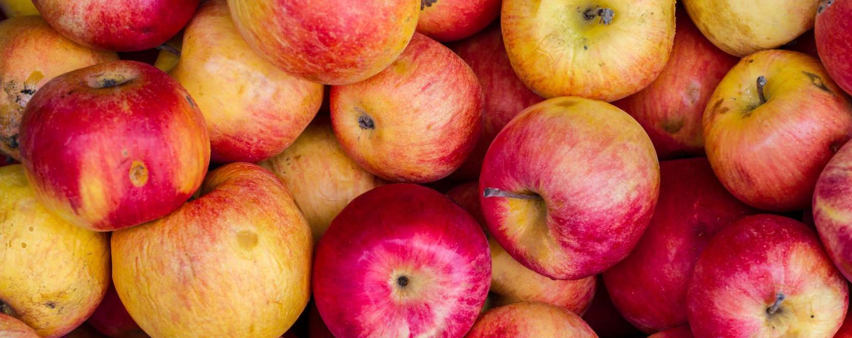 M&aacute;r alm&aacute;t is sz&uuml;retelnek a g&eacute;pek