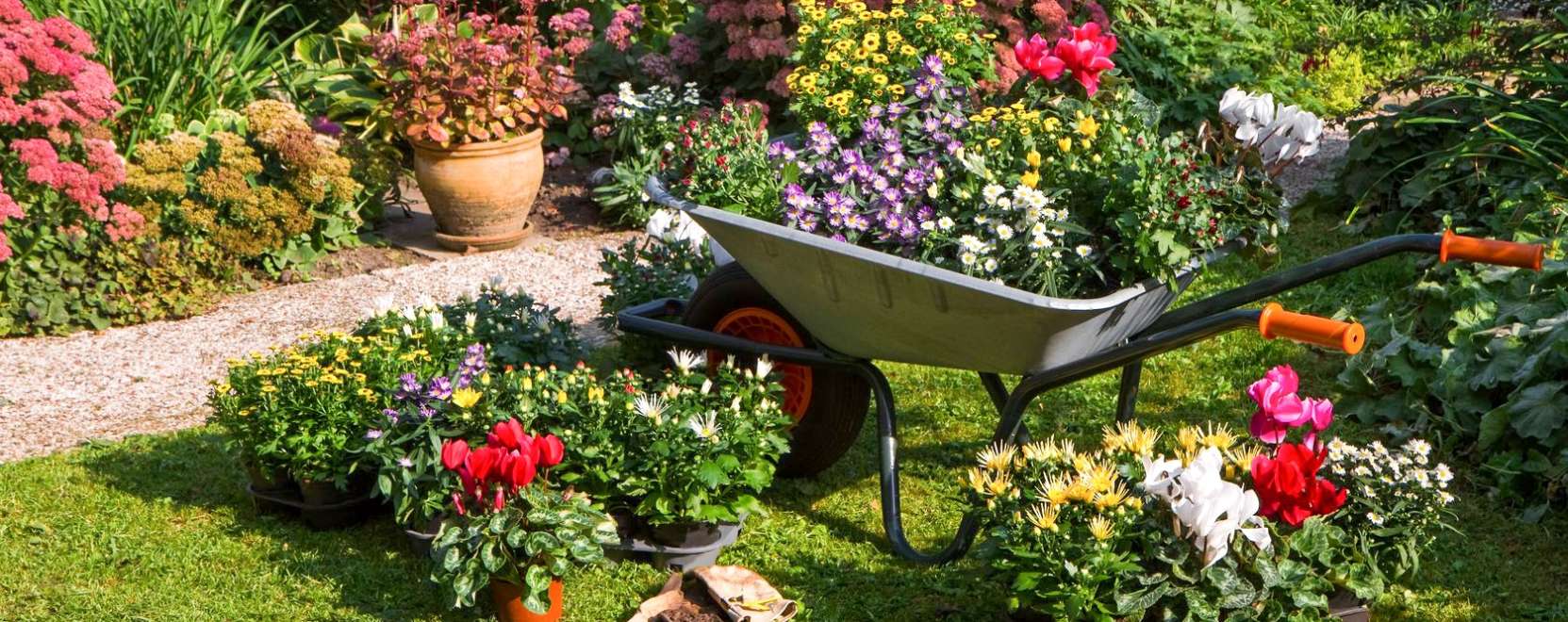 Napelemes gyoml&aacute;l&oacute;robot seg&iacute;t a kiskertben