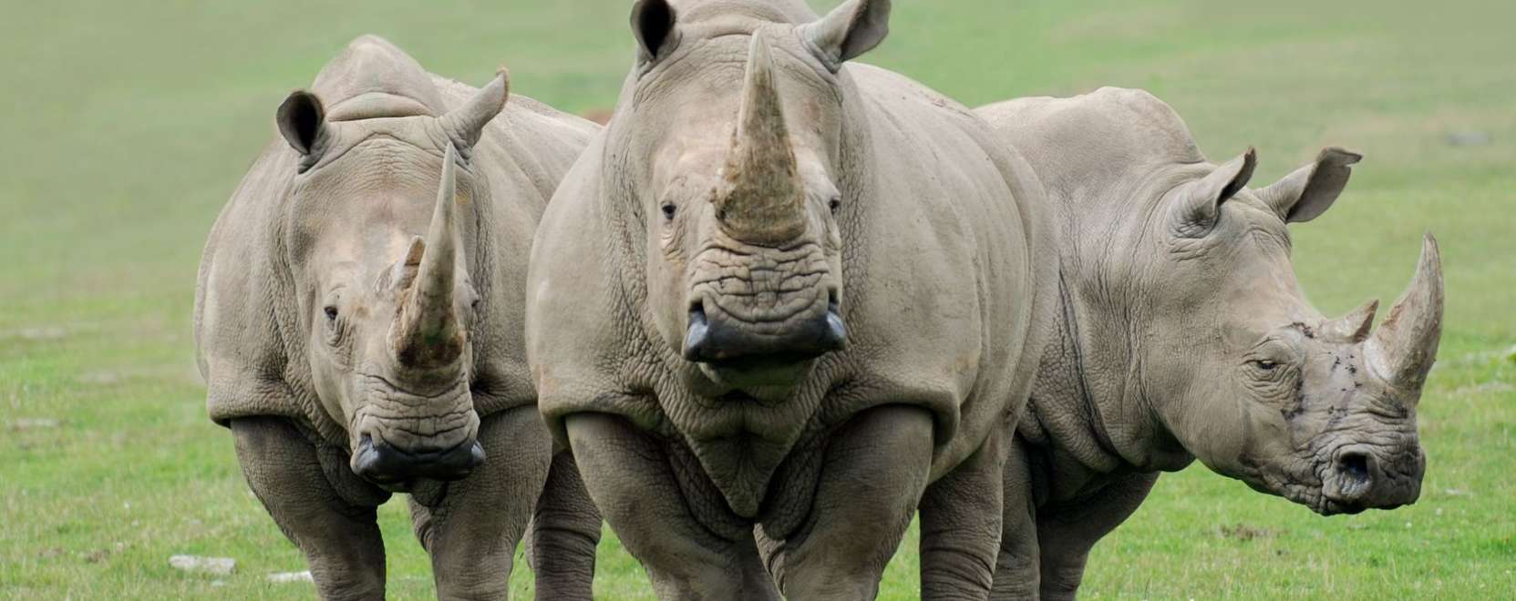 Orvvad&aacute;szok ellen is bevethető az IoT