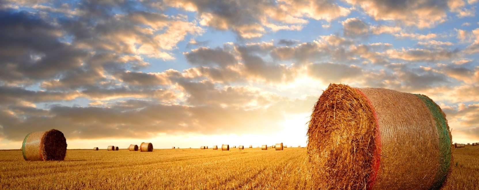 Mezőgazdas&aacute;g 4.0: elj&ouml;tt a digitaliz&aacute;lt farmok kora