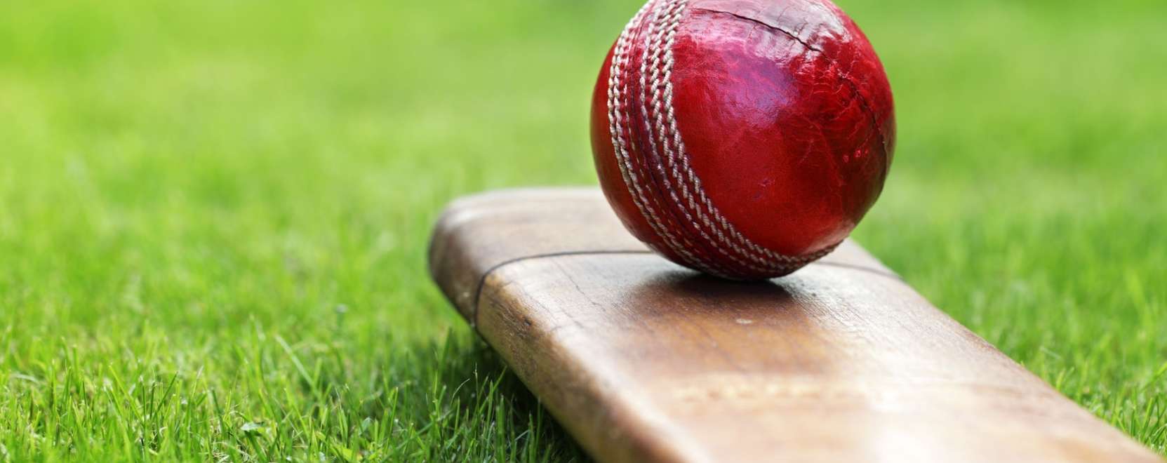 &Uacute;jabb okosfejleszt&eacute;s a krikettezőknek