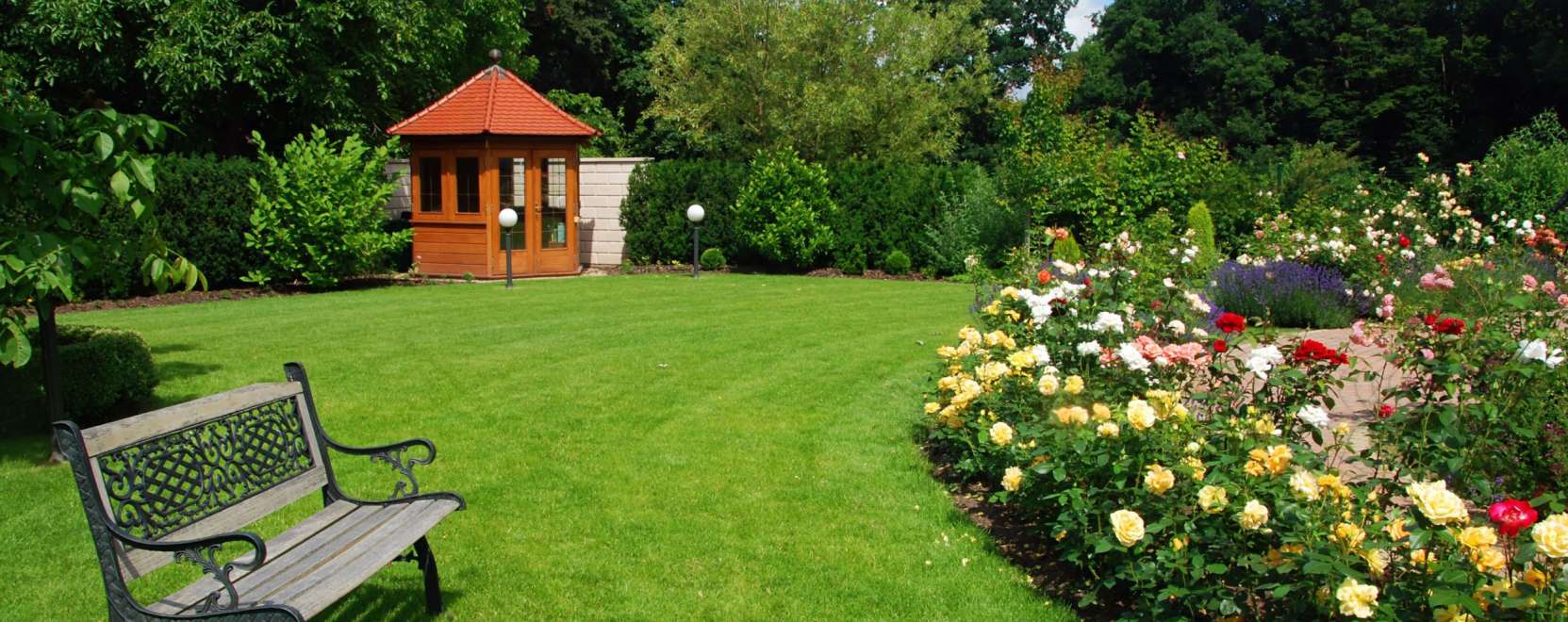 &Iacute;gy lehet profi kert&eacute;sz