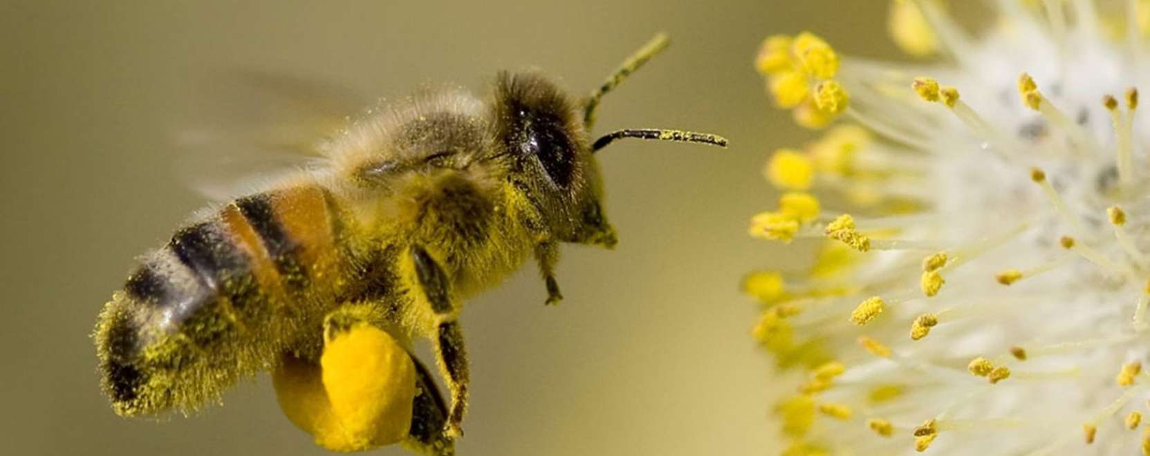 Robotm&eacute;hek seg&iacute;thetnek a beporz&aacute;sn&aacute;l