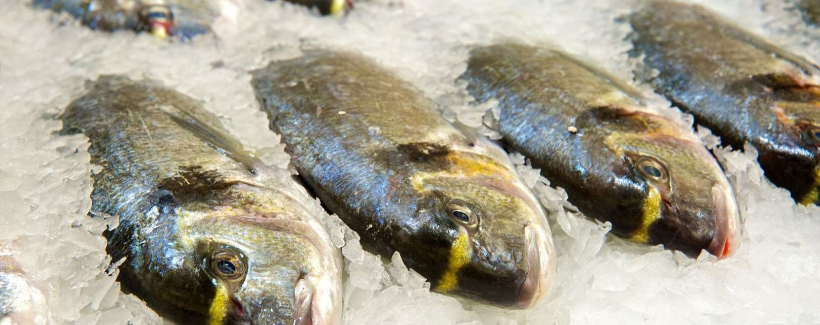 Ehető szenzor lehet az &eacute;lelmiszer-biztons&aacute;g kulcsa