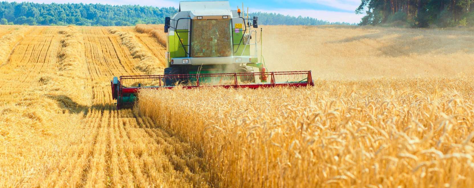 Ipari forradalom az agr&aacute;riumban 