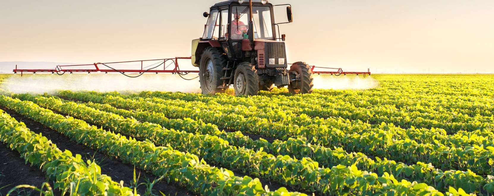 Agr&aacute;rk&ouml;rk&eacute;p: &iacute;me, a leg&uacute;jabb technol&oacute;giai trendek