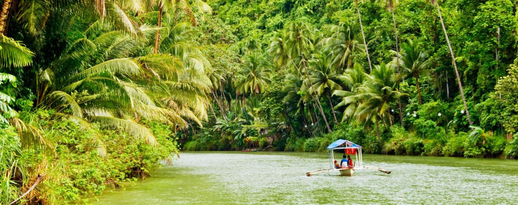 A g&eacute;pi tanul&aacute;s is beseg&iacute;t az esőerdők megment&eacute;s&eacute;ben
