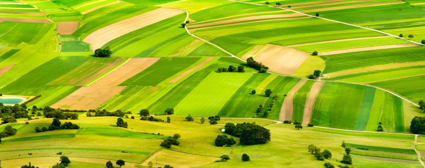 A mezőgazdas&aacute;g j&ouml;vőj&eacute;t jelentheti az IoT4Ag