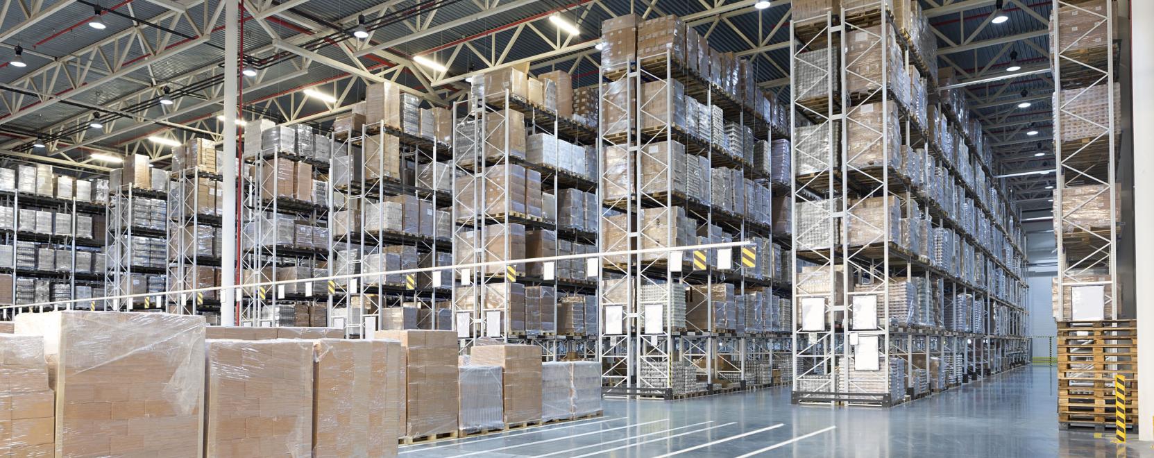 H&oacute;d&iacute;tanak a robotok a rakt&aacute;roz&aacute;sban