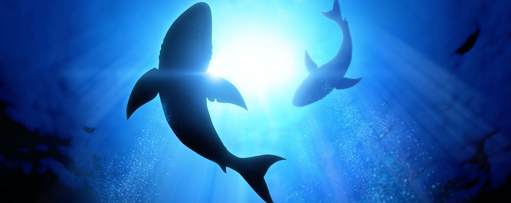 Mielőtt belefulladn&aacute;nk a szem&eacute;tbe, a Big Data seg&iacute;t