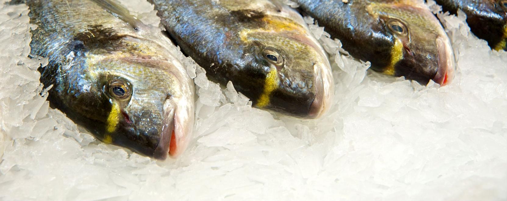 A Big Data a t&uacute;lhal&aacute;sz&aacute;s megelőz&eacute;s&eacute;ben is seg&iacute;thet