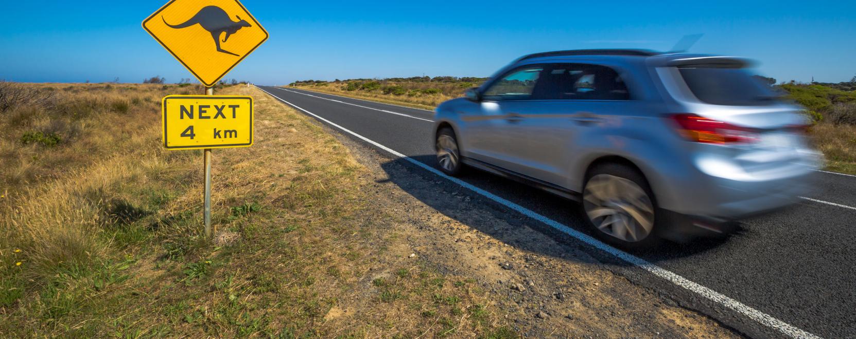 &Ouml;nvezető aut&oacute;kkal a kenguruk f&ouml;ldj&eacute;n