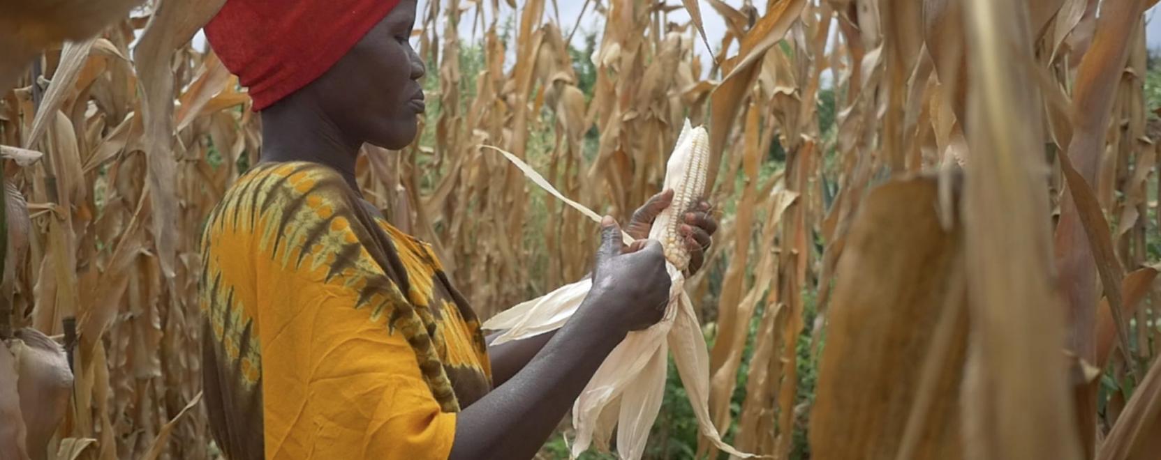 IoT-megold&aacute;s seg&iacute;t az &eacute;hez&eacute;s elleni k&uuml;zdelemben