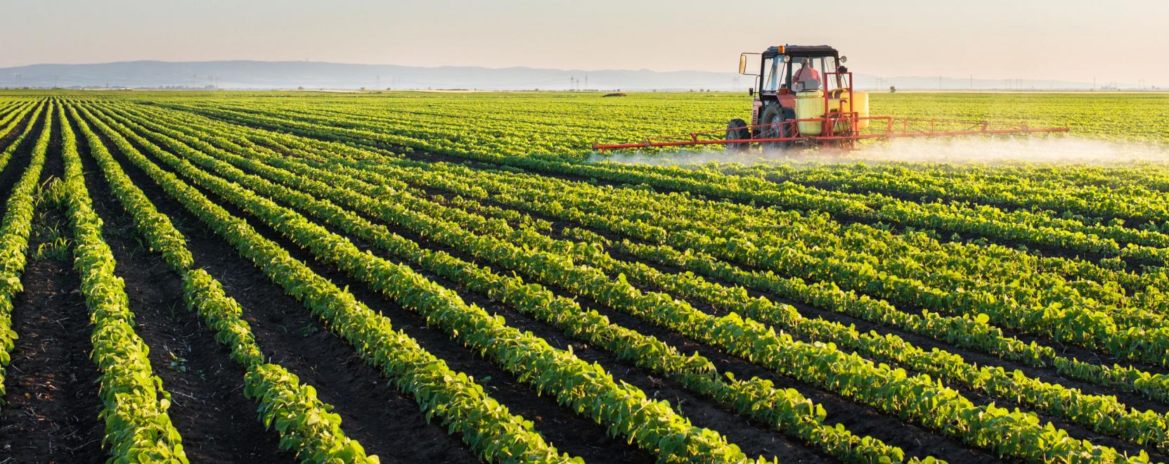 K&uuml;sz&ouml;b&ouml;n &aacute;ll az &uacute;jabb z&ouml;ld forradalom