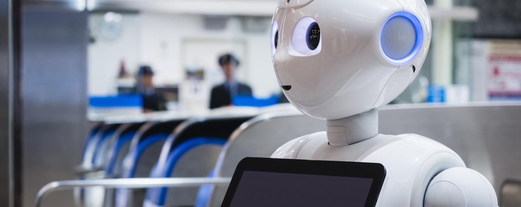 Magyarorsz&aacute;gra j&ouml;hetnek a humanoid robotok